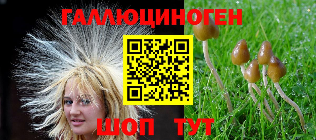 Галлюциногенные грибы GOLDEN TEACHER Урус-Мартан